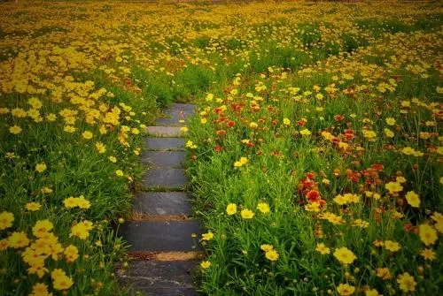 其利会数字能量学:手机号码含有哪些数组需要赶快换掉?